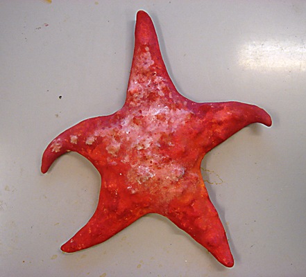 K.Lacigová K.Lacigová