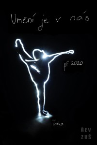 pf 2020 zus rev (7)