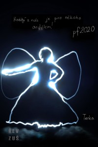 pf 2020 zus rev (8)